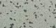 PVC anti static vinyl tile